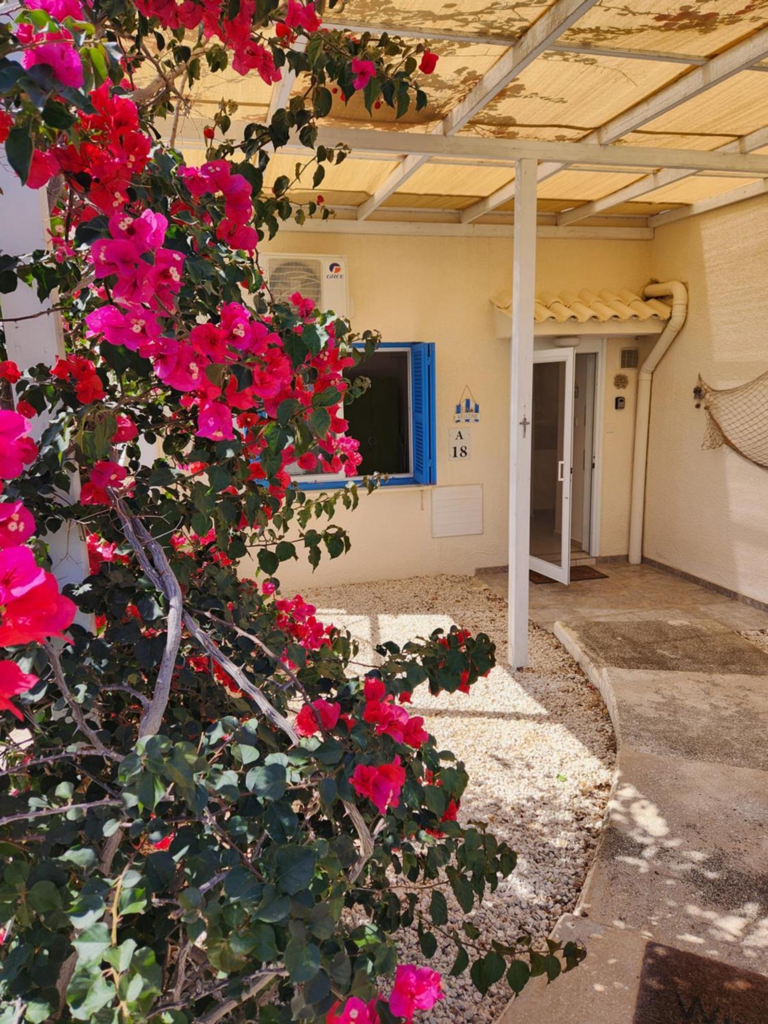 Ferienwohnung Ocean Pearl Peyia Exterior foto